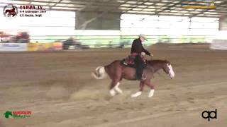 Baixar 4 tappa LRHA ASD 2018 - LOMUTO DOMENICO su AUTOMATIC GUN di SLIDE OR DIE LLC con score 71