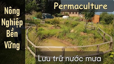 Cách khai thác nước mưa hiệu quả - Permaculture