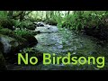 8 hr nature sounds waterfall river relaxation meditationrelaxing calm river water flow for sleeping