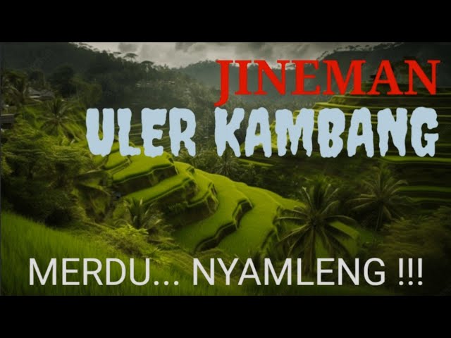 JINEMAN ULER KAMBANG - GENDINGJAWA - GENDING KLASIK - GENDING NYAMLENG - UYONUYON JAWA class=