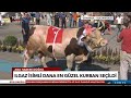 Sultangazi belediyesi en gzel kurbanlk yarmas