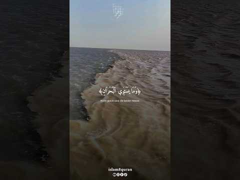 وما يستوي البحران سورة فاطر بصوت القارئ محمد ايوب