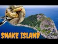 Snake lsland l Land of Snakes.