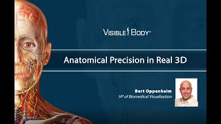 Visible Body | Why Visual Accuracy Matters in Anatomy Education