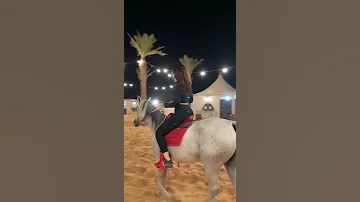 فرس فرس من حسنها الحسن انخرس 