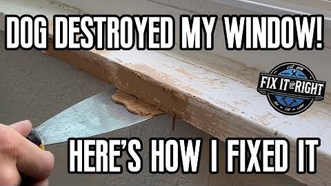 Puppy Destroying Your House?