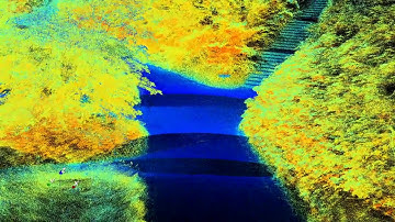 Hyperspectral Point Cloud in the Botanical Garden