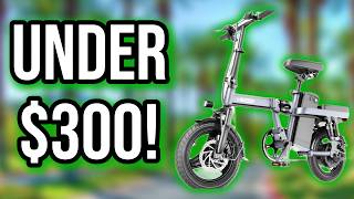 Hikeep DJ-6 Electric Bike: Under $300!
