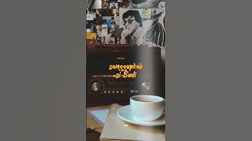 Sore Tugu Pancoran - Iwan Fals #music #liriklagu #iwanfals #trendingshorts #shortvideo #storywa