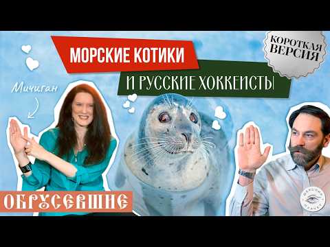 How an American woman fell in love with Russia.