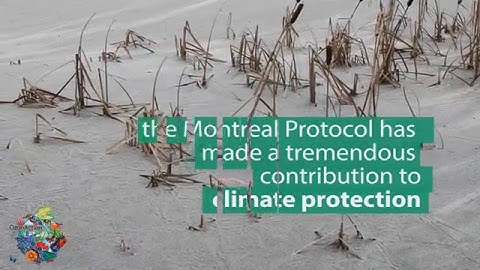 The Kigali Amendment -  Opportunities and Next Steps