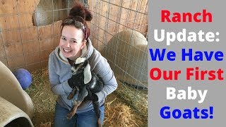 Ranch Update: We Have Our First Baby Goats!