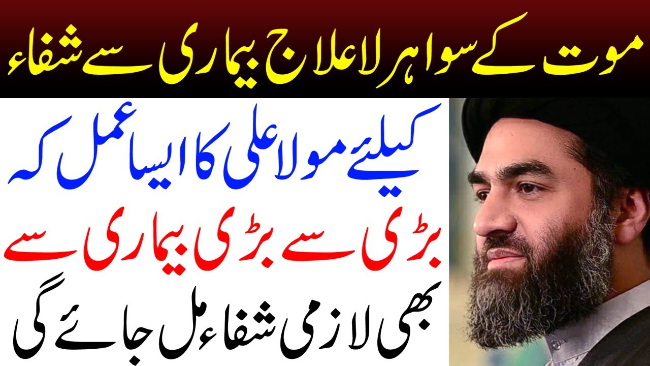 Badi Se Badi Bimari Se Bhi Shifa Mil Jaye Gi || Maulana Ali Reza || Tarz E Ahlebait