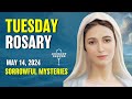 Tuesday Rosary 💙 Sorrowful Mysteries of the Rosary 💙 May 14, 2024 VIRTUAL ROSARY