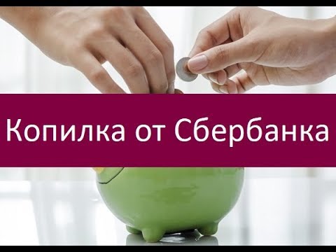 Копилка от Сбербанка. Особенности и преимущества