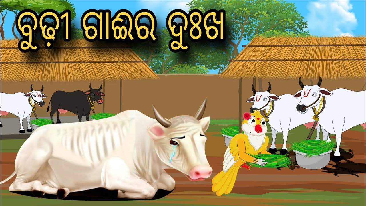 Budhi Gaair Dukha | Tiki Chadhei Gapa | Odia gapa | Moral Story | Bird Story | Cartoon Story
