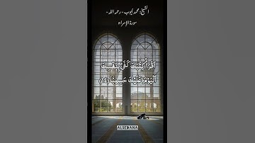 تلاوة سورة الاسراء الشيخ محمد أيوب وكل انسان الزمناه طائرة في عنقه ونخرج له يوم القيامة كتاب يلقاه