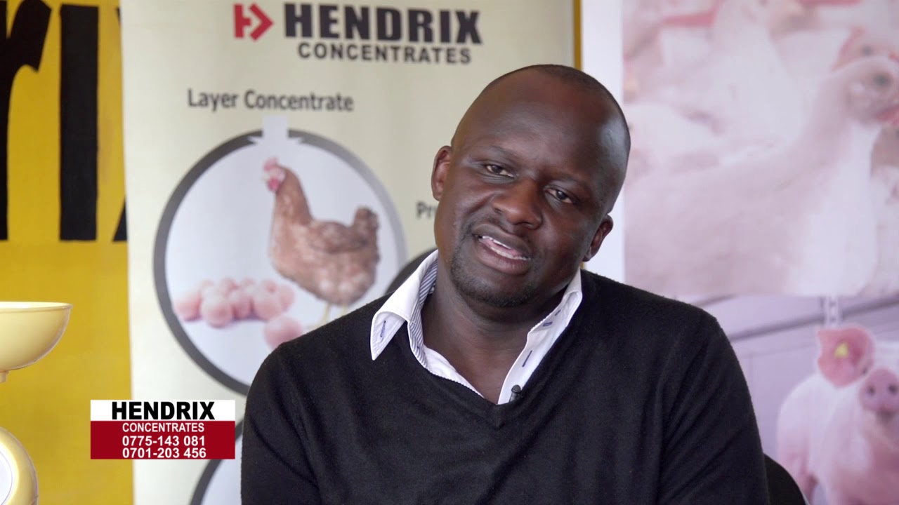 Yiga entabula y'emmere y'enkoko ey'omulembe .