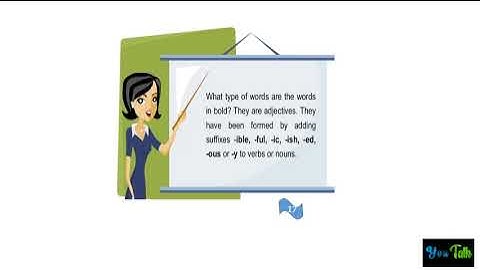 Grade 6 | English | Adjectives | Lesson 1