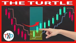 **FULL COURSE FOR BEGINNERS** The 'BEST' TURTLE CHANNEL Trading Strategy That NoOne Ever Told You
