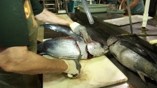 Expert Techniques for Filleting Albacore Tuna