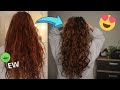 Rake Wet Scrunch Styling Method for Perfect Definition and Volume // My fave OG styling routine