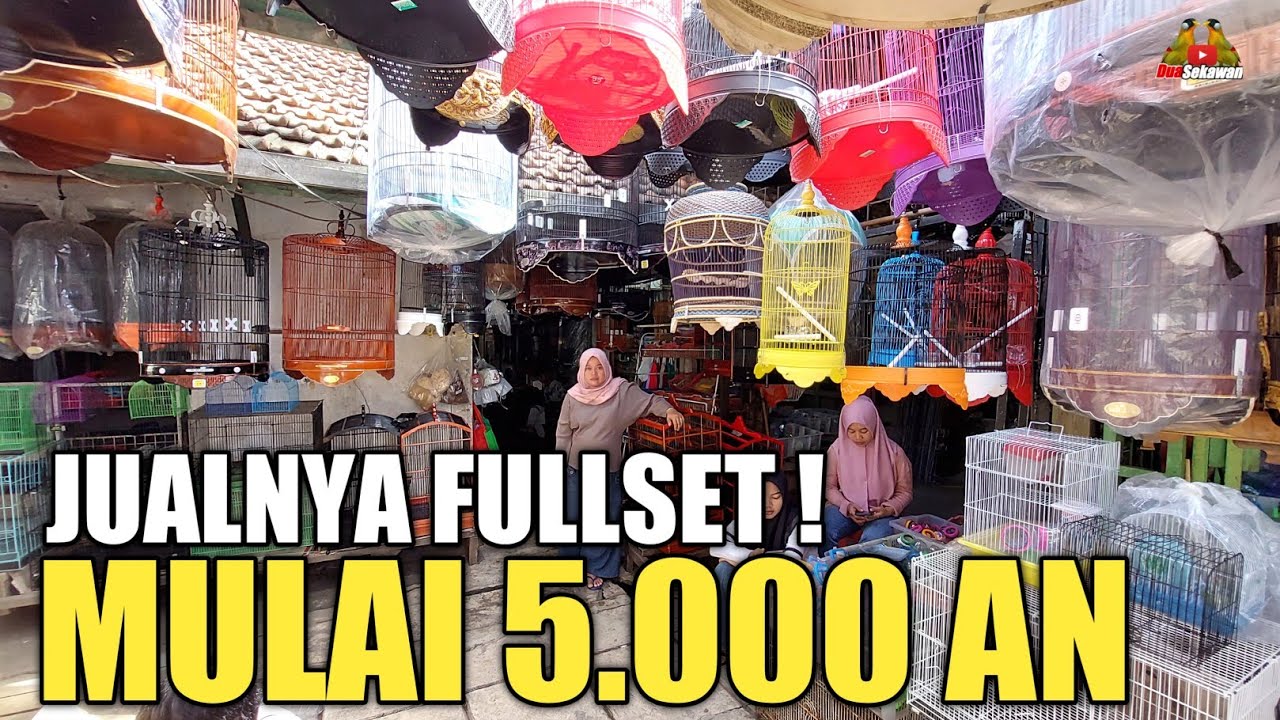 UPDATE HARGA SANGKAR ! MULAI 5RB AN DI PASAR BURUNG CURUG TANGERANG TOKO ROSA