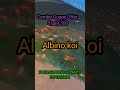 //Guppy Combo Offer//5 Type Of Just 500//Free Shipping