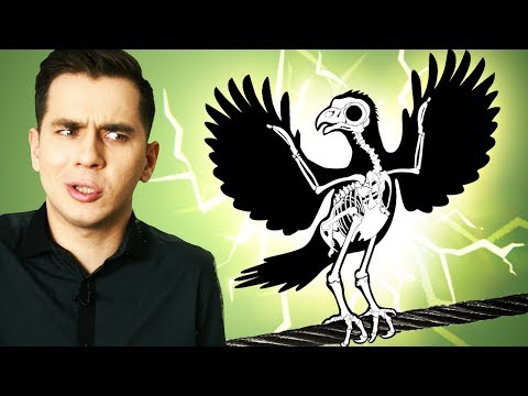 Почему птиц не бьет током на проводах?