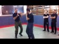 Stage de Sambo avec Hervé Gheldman