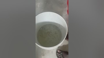 Floating fish feed extruder feedback from African clients #fishfeedmachine #factoryproducts