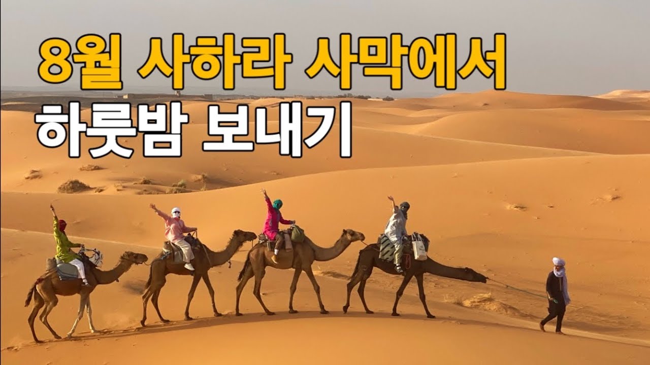 사하라 사막