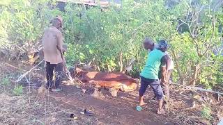 💥MBE YAHE MADJLISSE YA MDOIHOMA MOINACHE   💢