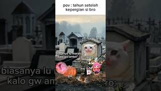 FOV:setelah kehilangan si broo#meme #kucing