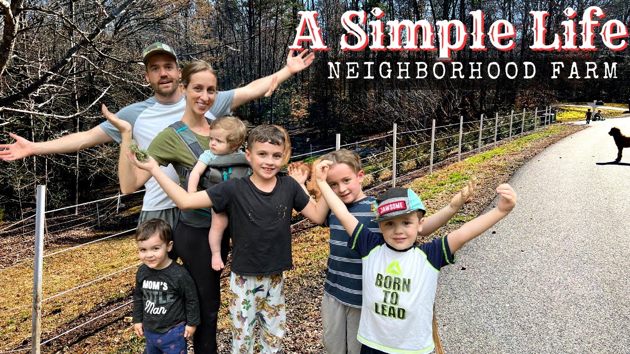 Build CHEAP and EASY Farm Fence in 2 Days | A Simple Life