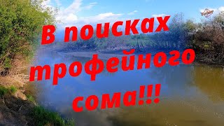 В поисках трофейного сома.