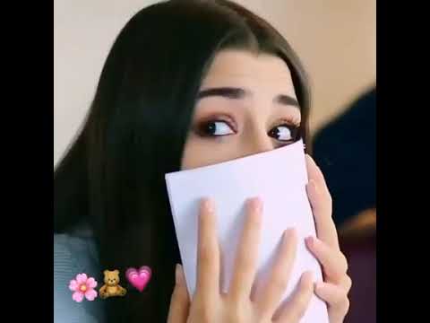 بنت هالﻗلب