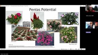 Perfecting Pentas Production with Syngenta’s Dr. Jamie Gibson