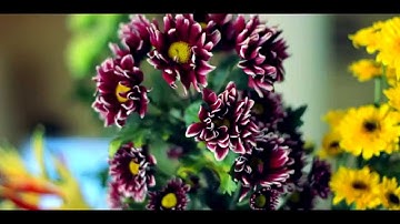 WIELDY 80mm Linear Camera Slider Demo