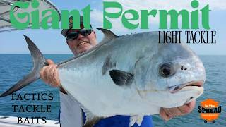 Targeting Giant Permit on Light Tackle in South Florida | In The Spread Fishing Videos