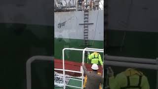 Pilot accident while boarding the vessel....#pilotladder #pilotboarding #timingforboarding