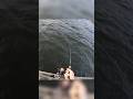 Catch and release fish fishing cpr whitebass bass fisher angler outdoors fisherman