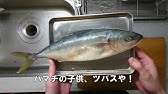 凄技 ツバスのさばき方をプロに見せてもらいました お得情報編 ニシオノオト 西尾市観光文化振興課 Youtube 凄技 ツバスのさばき方をプロに見せてもらいました お得情報編 ニシオノオト 西尾市観光文化振興課 Youtube