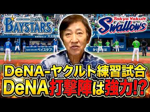 DeNA打撃陣は強力!? あとはピッチャー！【2/18】