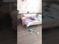 27 июня 2025 г.