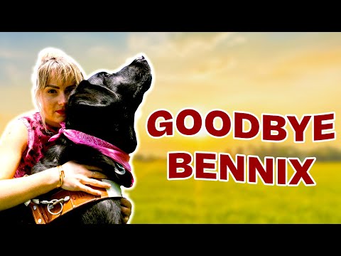 Being Reunited w/ Bennix & Saying A Final Goodbye…