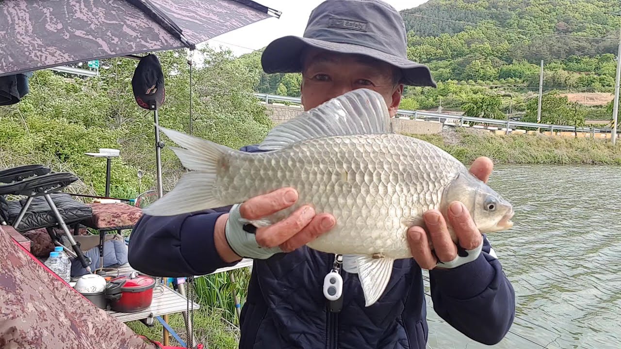 내 포인트로만 무섭게 몰려드는 4짜들