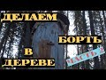 Делаем борть для пчел в дереве  Часть 2 #4