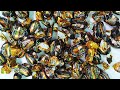 Lot's of CHOCO JEWELS //ORIGNAL// Unboxing video