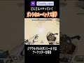 四股を踏む横綱ジブラルタル雑学【エーペックス】